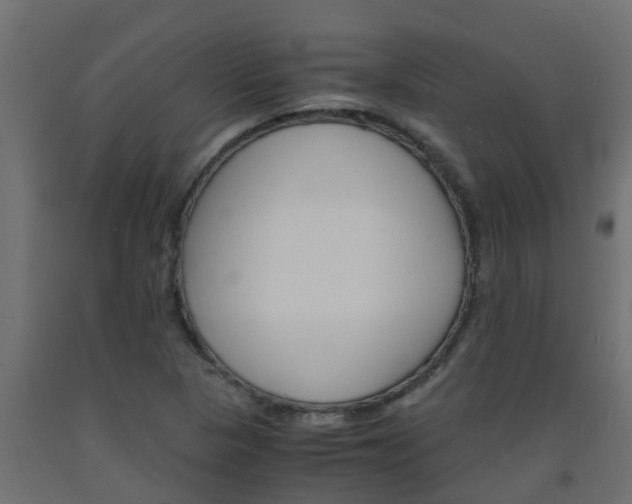 X0000093571313200710151008
