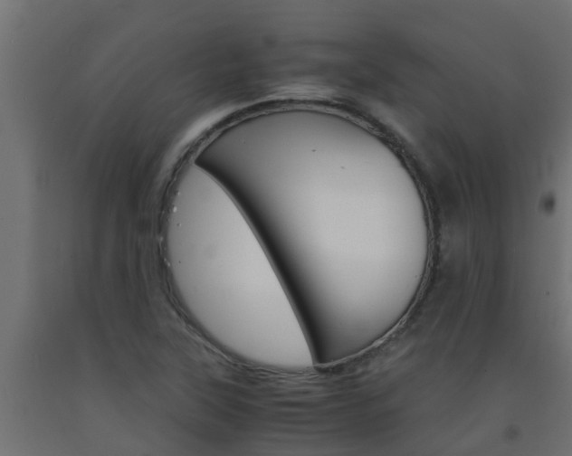X0000093571315200710151008