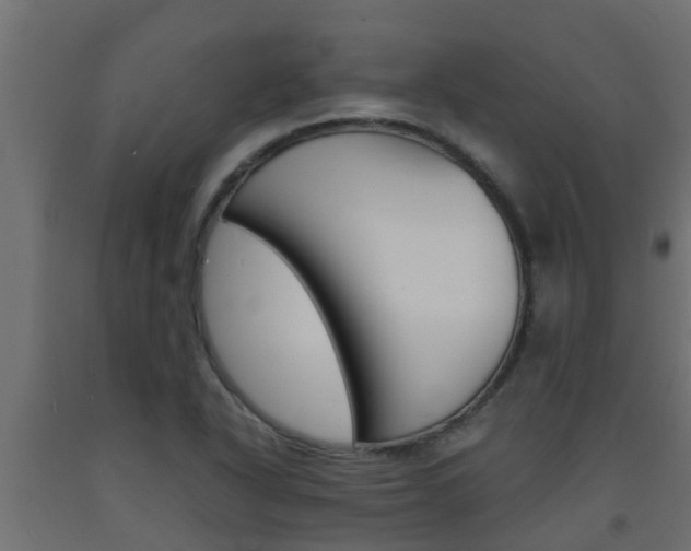 X0000093571318200710151008