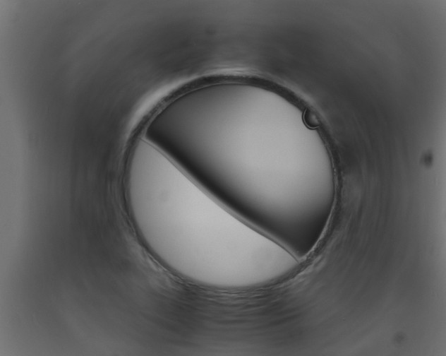 X0000093571319200710151008