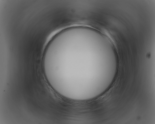 X0000093571320200710151008