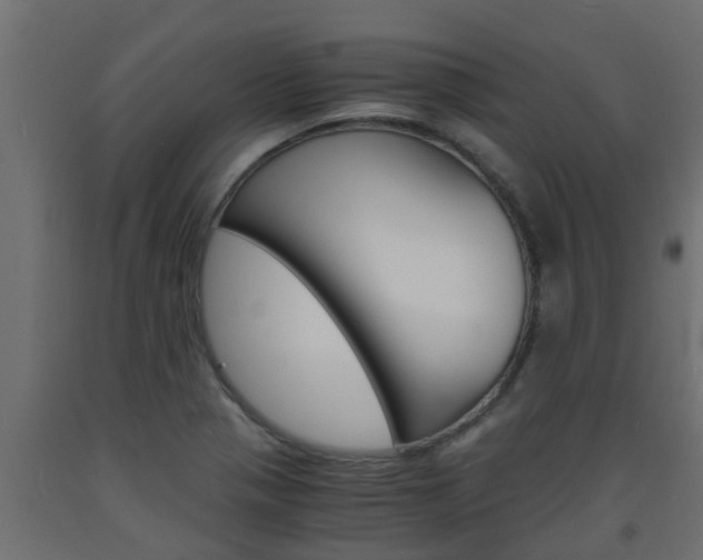X0000093571321200710151008