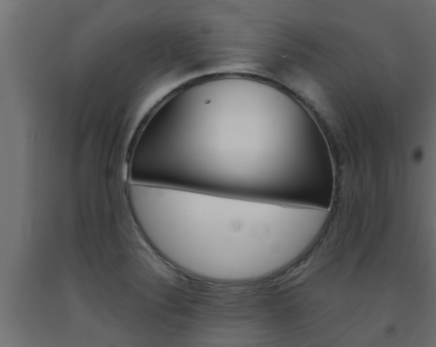 X0000093571324200710151009