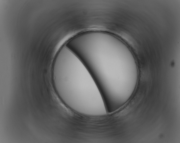 X0000093571325200710151009