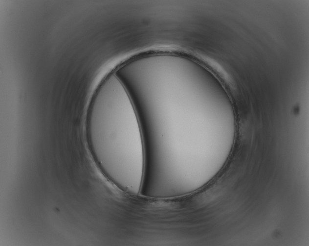 X0000093571327200710151009