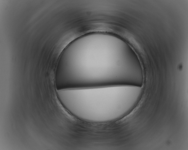 X0000093571329200710151009