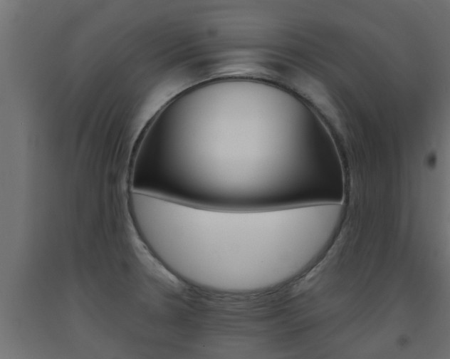X0000093571330200710151009