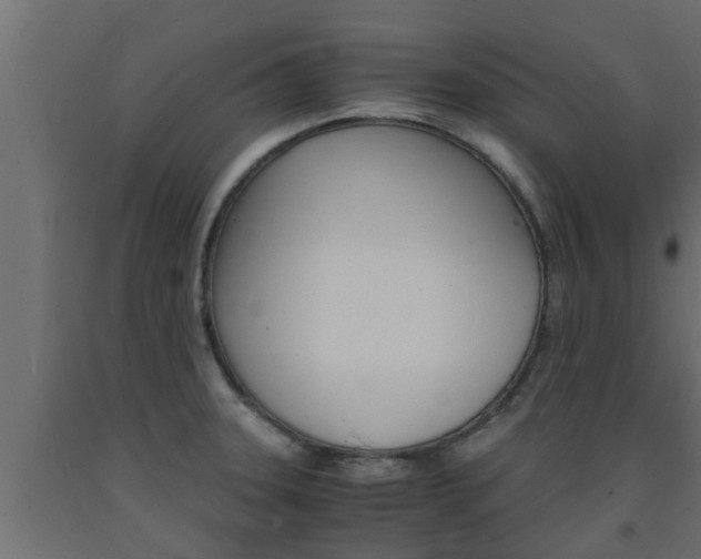 X0000093571331200710151009
