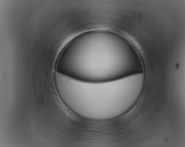 X0000093571332200710151009