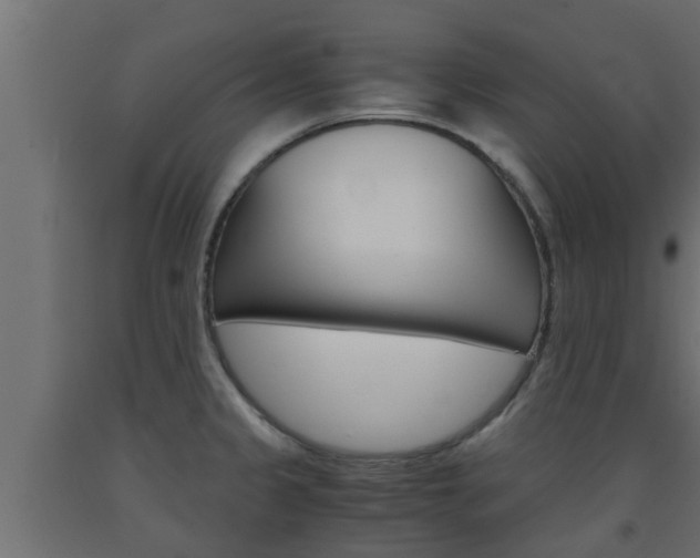 X0000093571333200710151009
