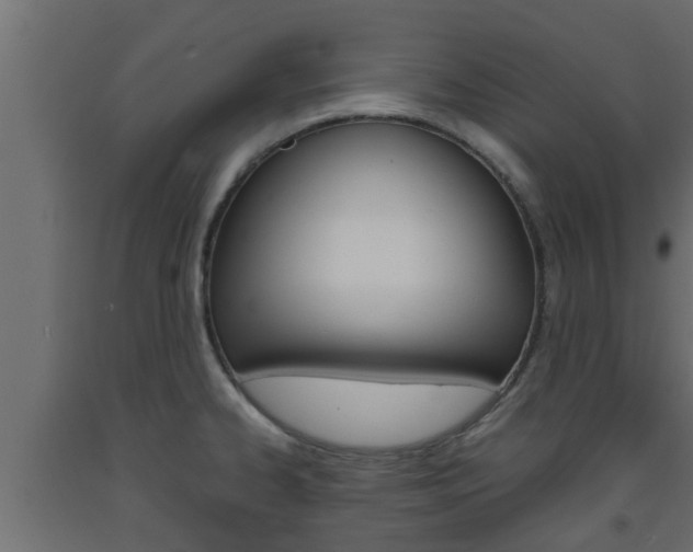 X0000093571334200710151009