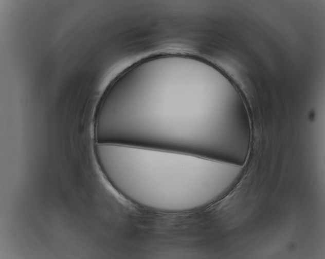 X0000093571335200710151009