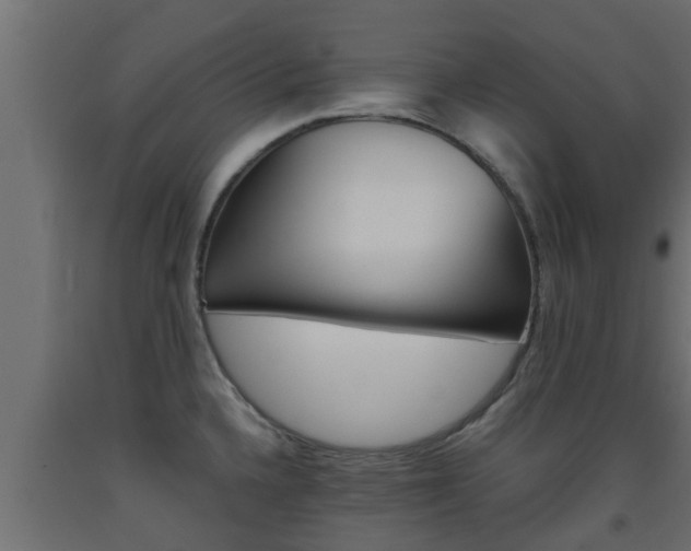 X0000093571336200710151009