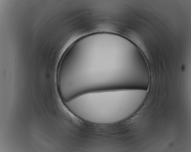 X0000093571339200710151009