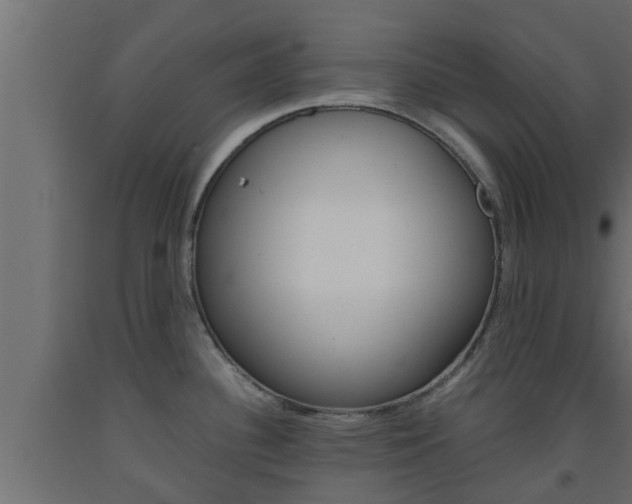 X0000093571340200710151009