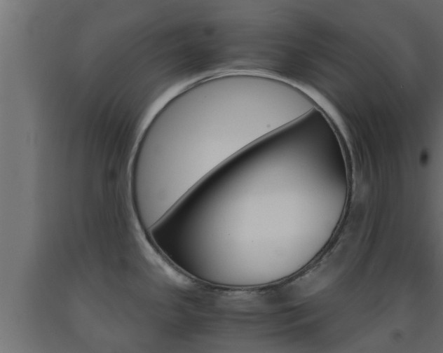 X0000093571341200710151009