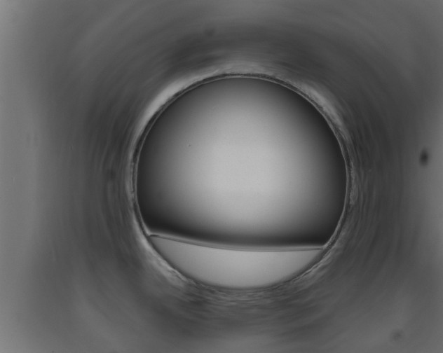 X0000093571342200710151009