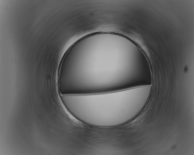 X0000093571343200710151009