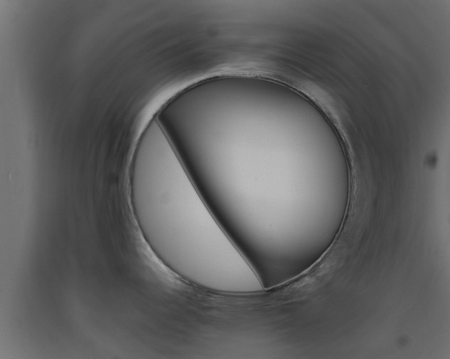X0000093571344200710151009
