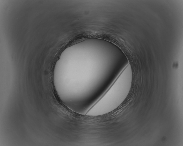 X0000093571345200710151008