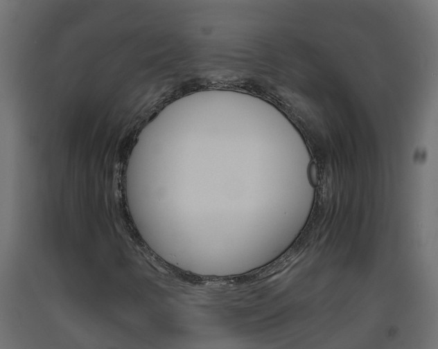 X0000093571346200710151008