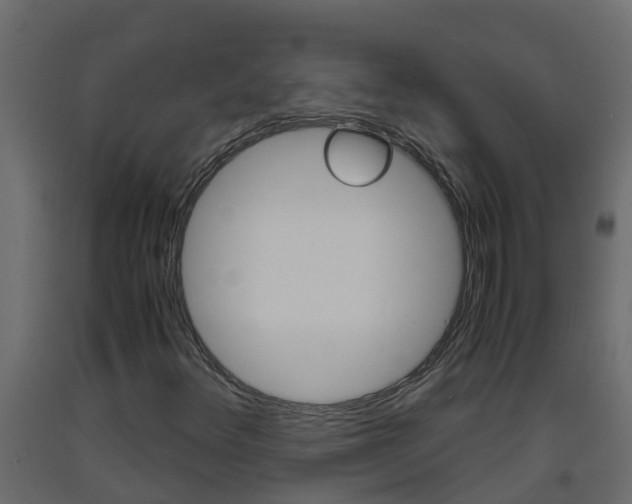 X0000093571348200710151008