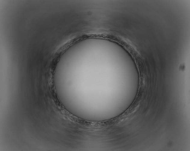 X0000093571350200710151008