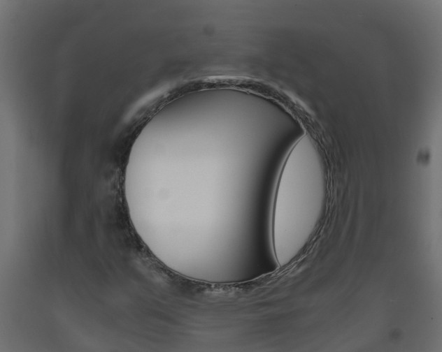 X0000093571351200710151008