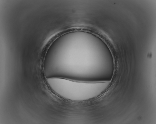 X0000093571352200710151008