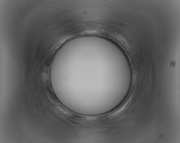 X0000093571353200710151008