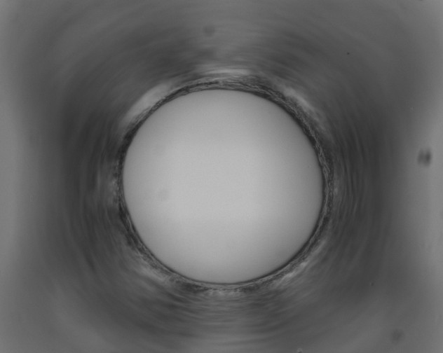 X0000093571354200710151008