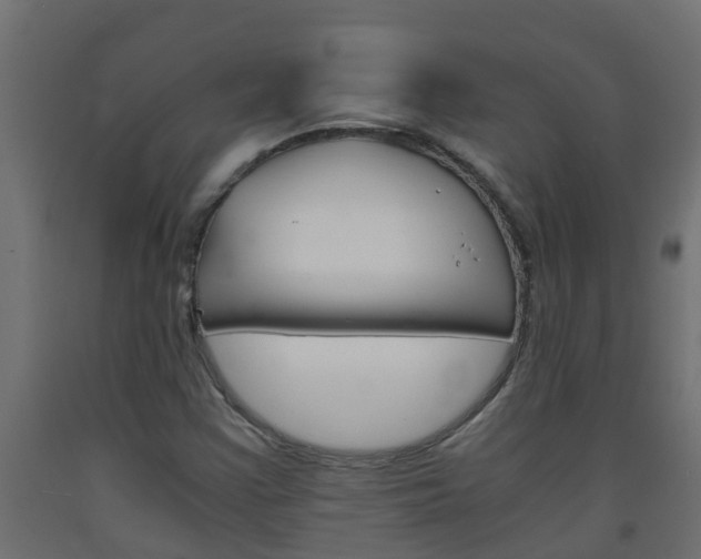 X0000093571355200710151008