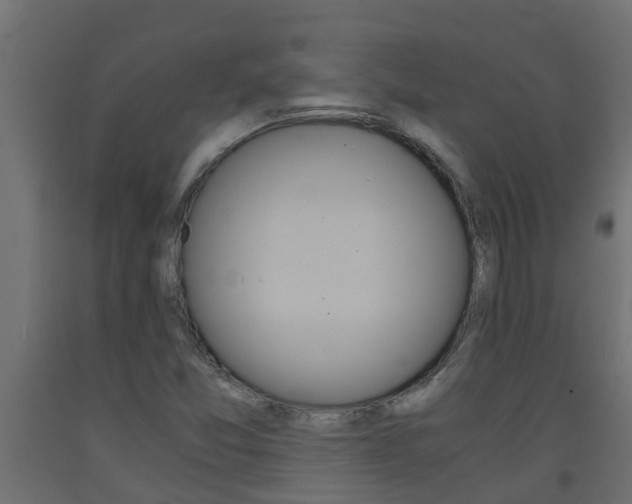 X0000093571357200710151008