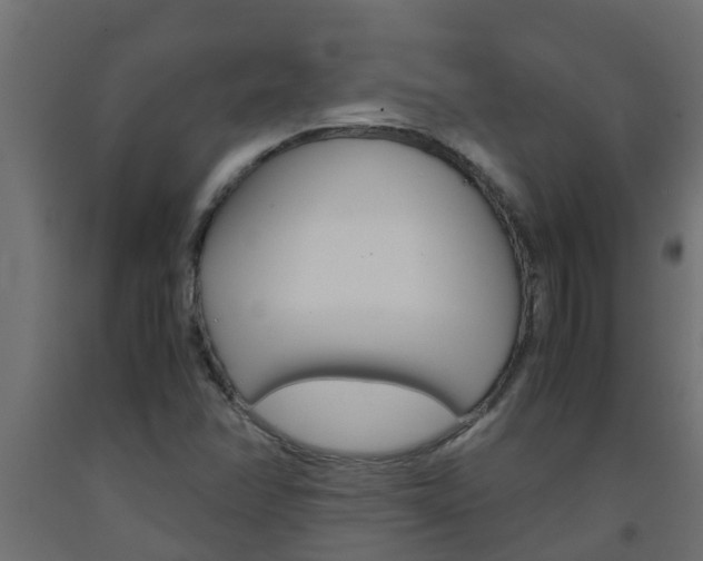X0000093571358200710151008