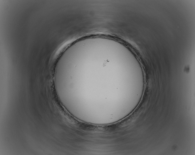 X0000093571359200710151008