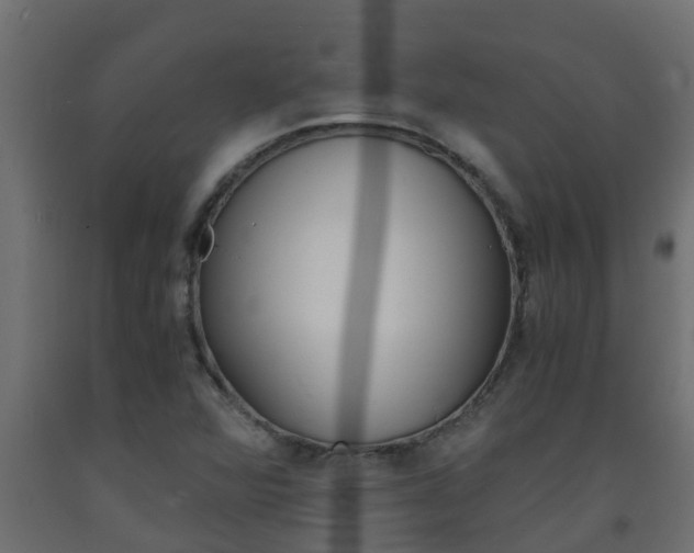 X0000093571360200710151008