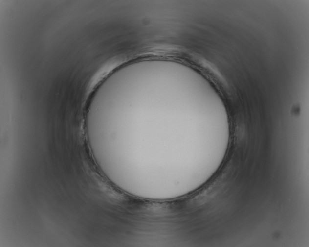 X0000093571362200710151008