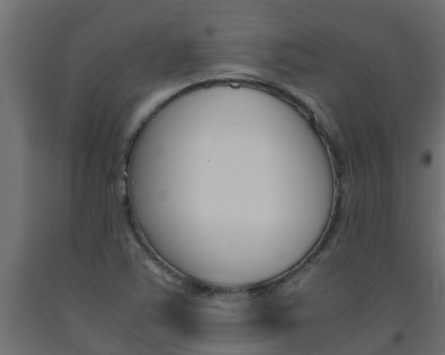 X0000093571363200710151008