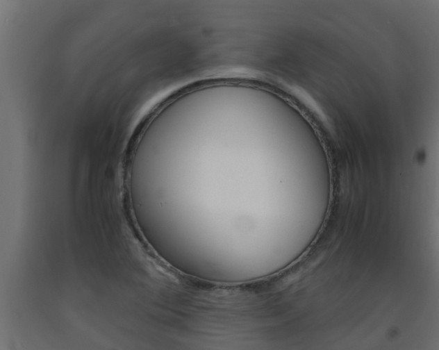 X0000093571364200710151008