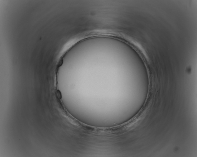 X0000093571365200710151008
