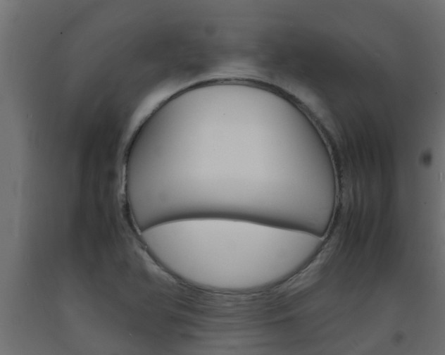 X0000093571366200710151008
