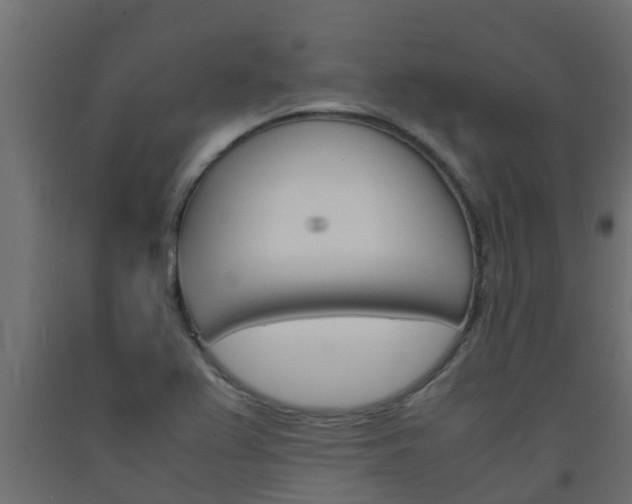 X0000093571367200710151008
