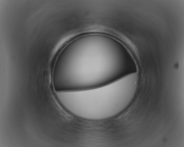 X0000093571368200710151008