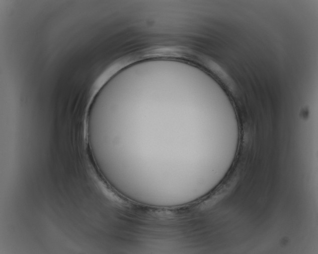 X0000093571370200710151008