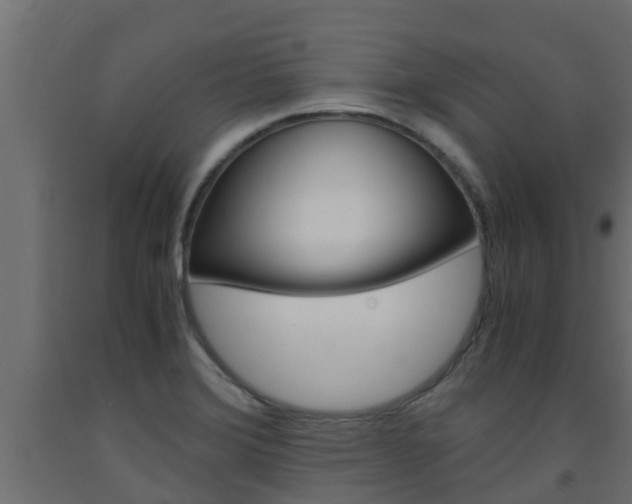 X0000093571372200710151008
