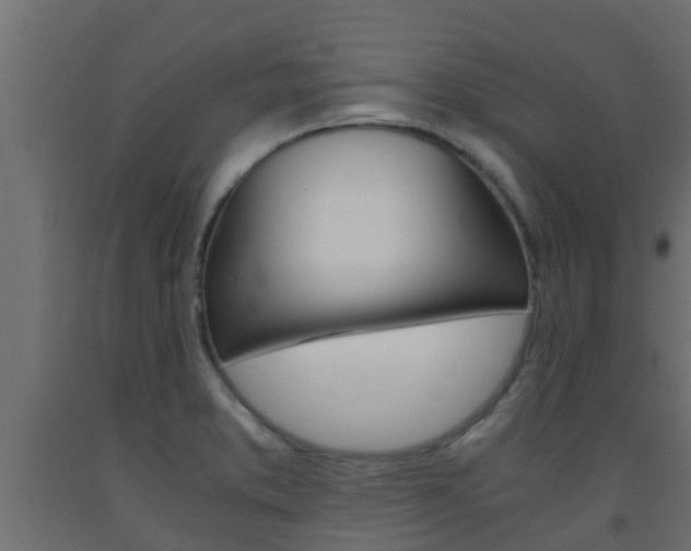 X0000093571373200710151008