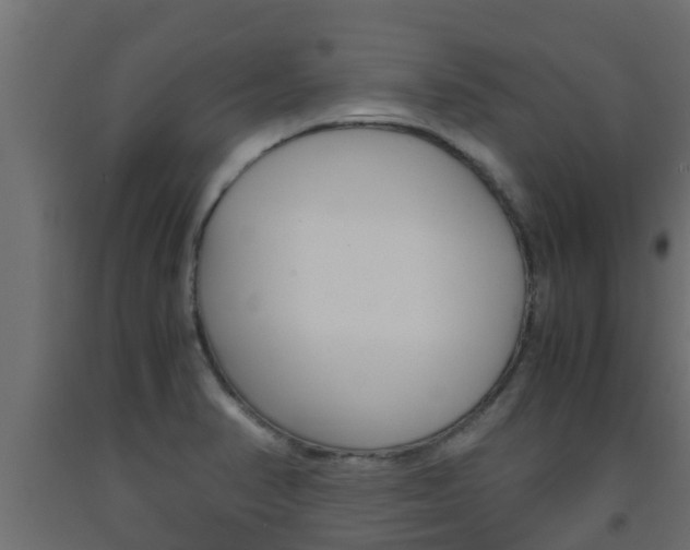 X0000093571374200710151008