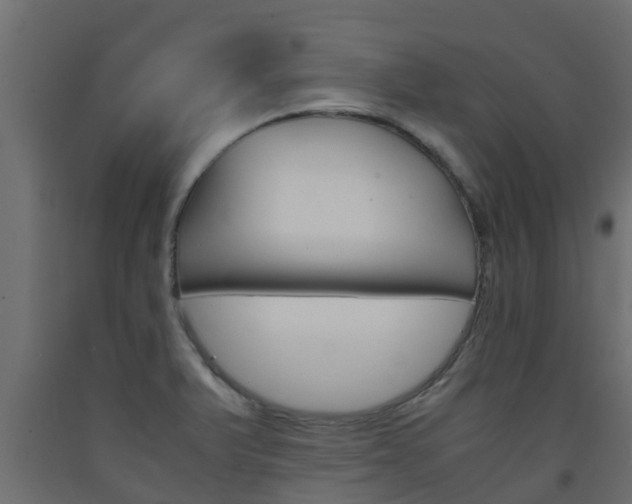 X0000093571375200710151008