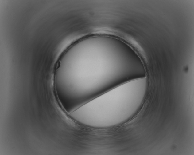X0000093571376200710151008