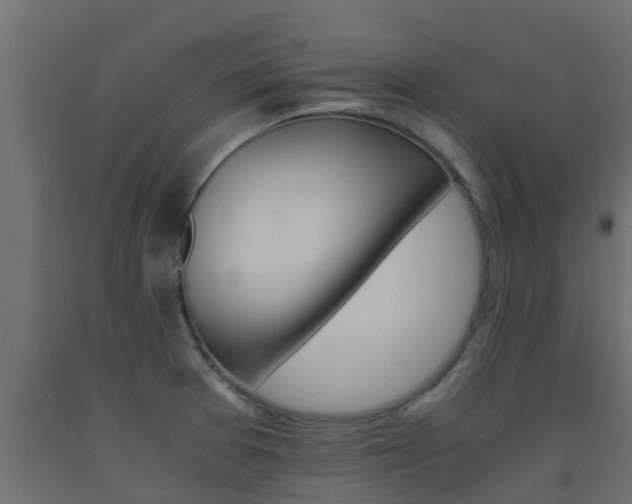 X0000093571377200710151008